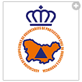 Asociación de Agrupacións de Voluntarios de Protección Civil de Ourense e provincia